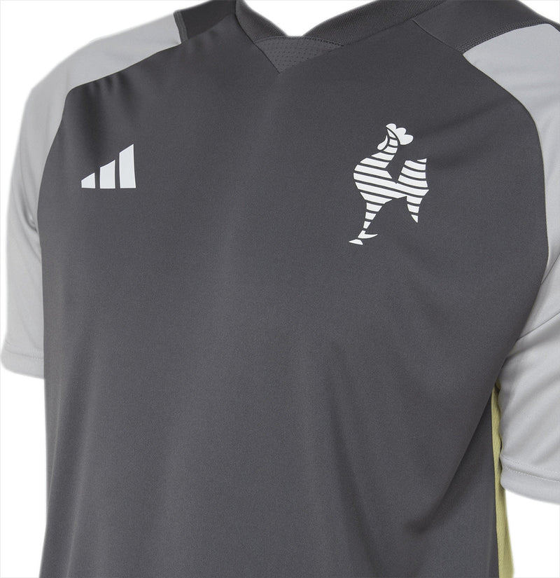 Atlético Mineiro Training Shirt Commission 24/25 +5 GIFTS🎁