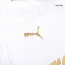 Palmeiras 2024/2025 Alternative Shirt