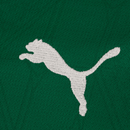 #9 VITOR ROQUE Palmeiras 2025/2026 Home Shirt
