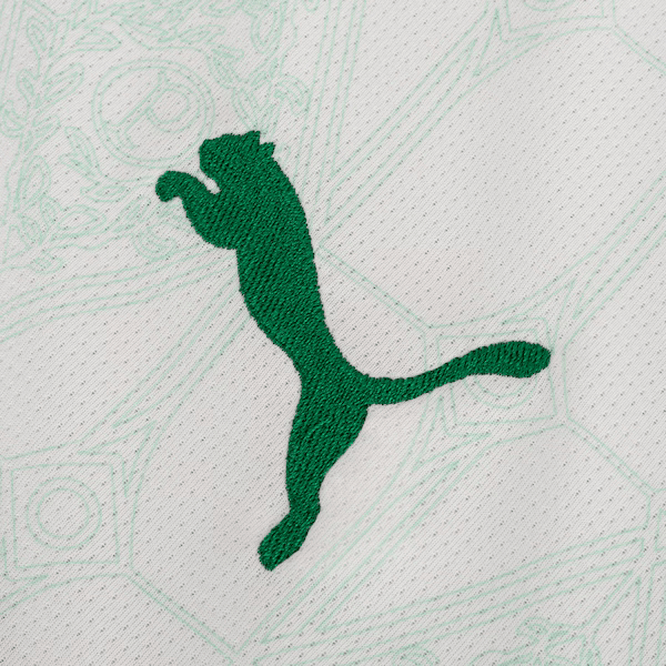 Palmeiras 2025/2026 Alternative Shirt