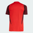 Internacional 2024/25 Training Shirt