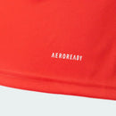 Internacional 2024/25 Training Shirt