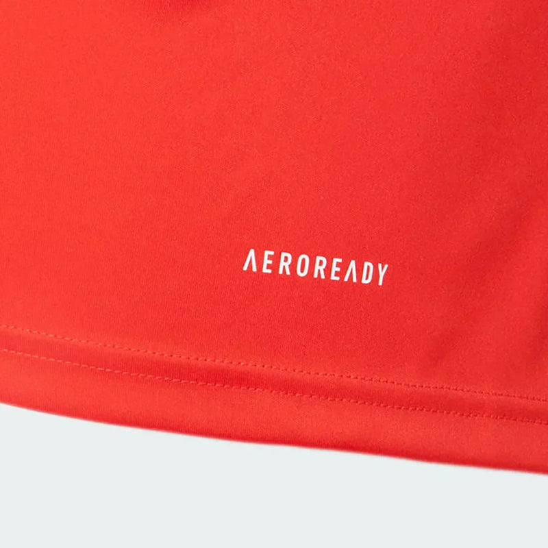 Internacional 2024/25 Training Shirt
